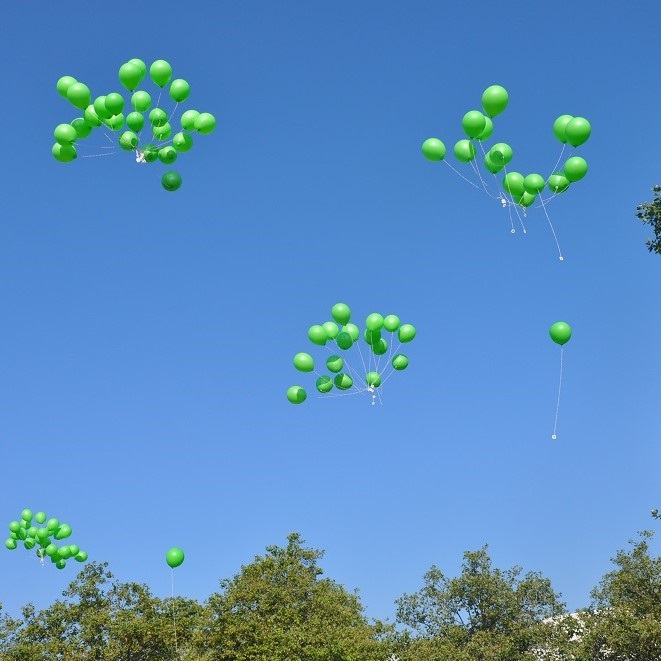 Grüne Natur-Luftballons steigen in den Himmel