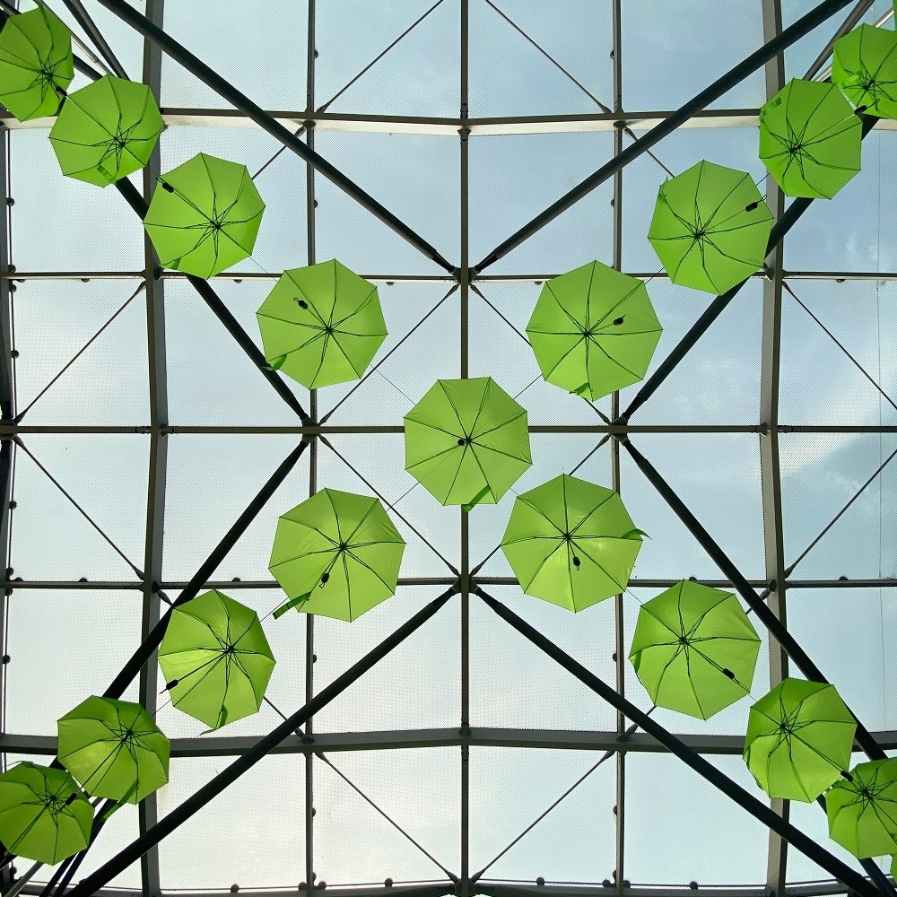 Grüne Regenschirme am Glasdach