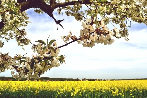 Eine Landschaft; Foto: Andreas Hermsdorf / pixelio.de