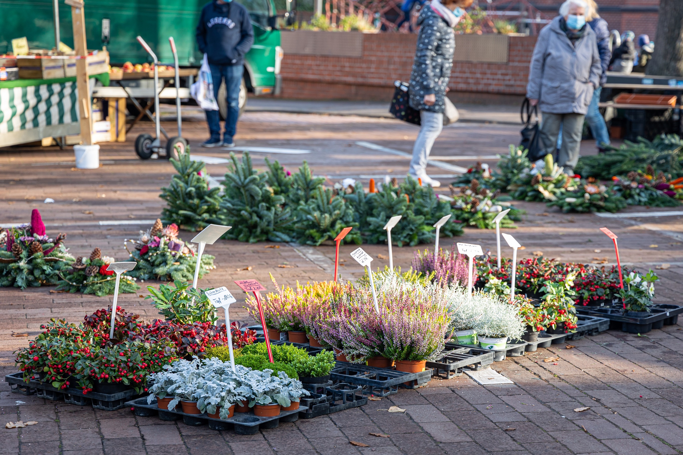 Markt in der Altstadt Fallersleben