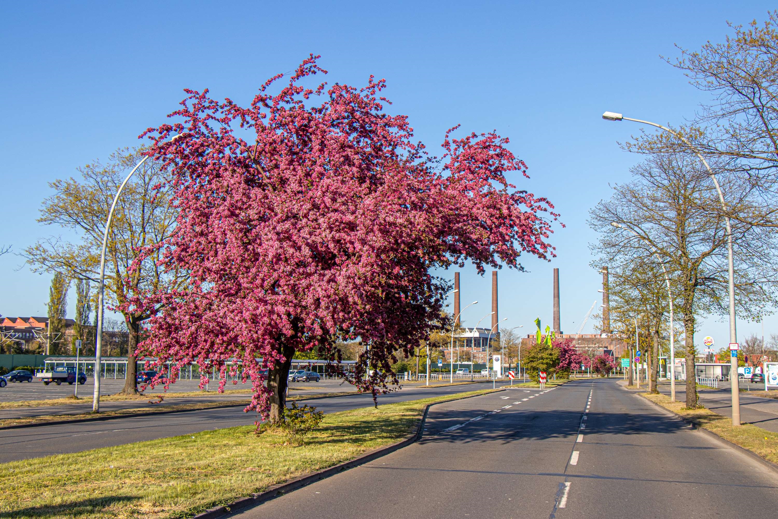 Die Heinrich-Nordhoff-Straße