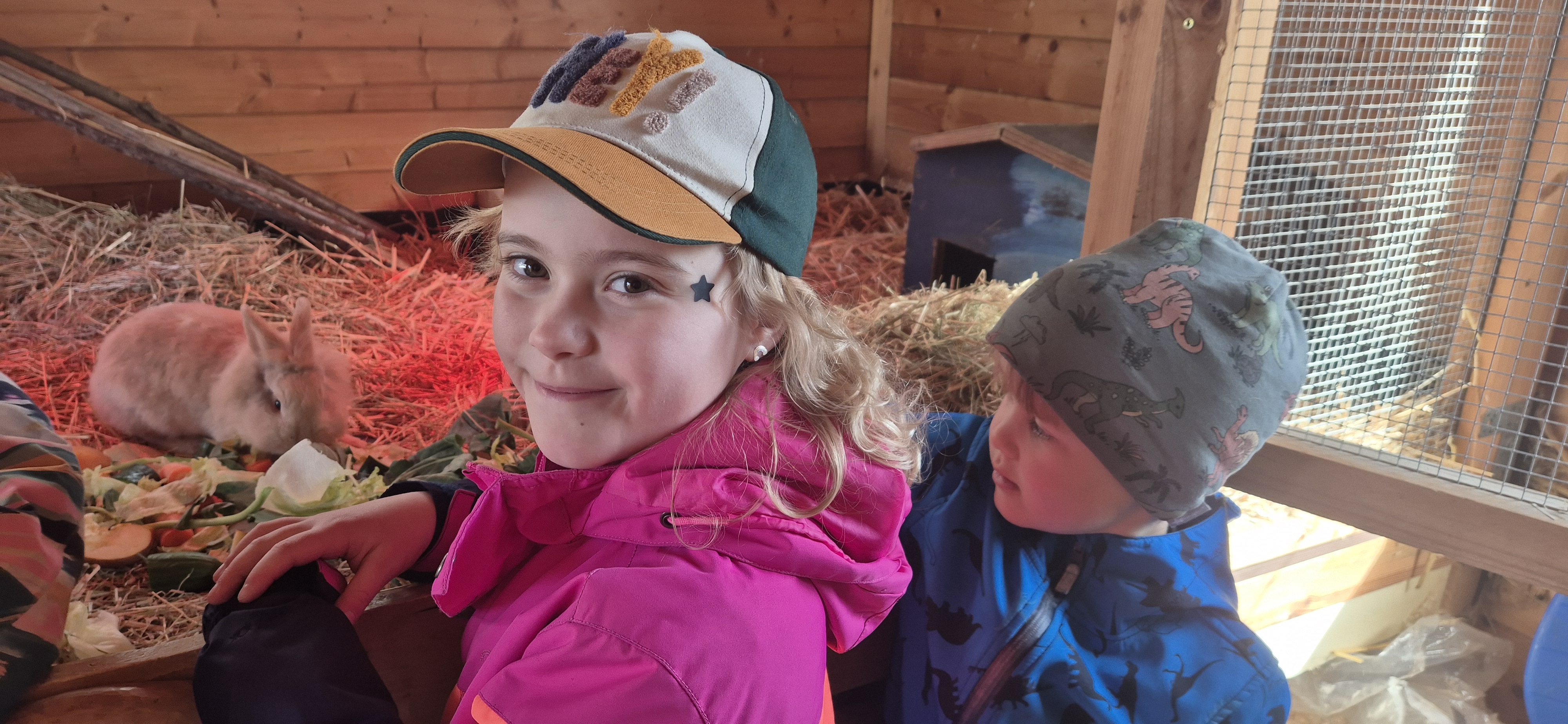 ᠎Pending Translation: Kinder am Kaninchenstall auf dem Aktivspielplatz