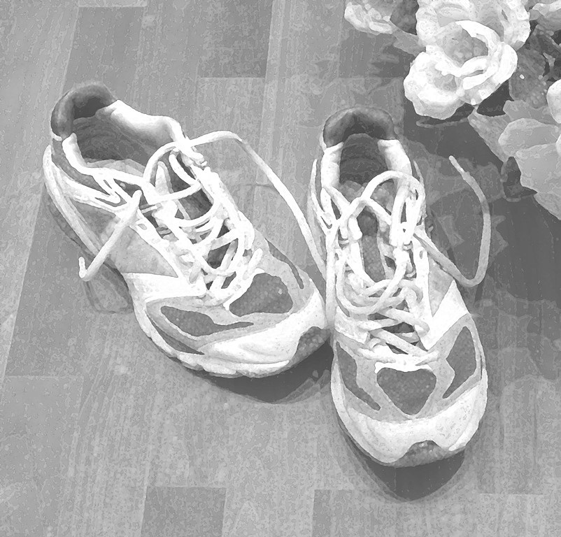 Ein Paar Laufschuhe; Foto: Rainer Sturm/pixelio.de