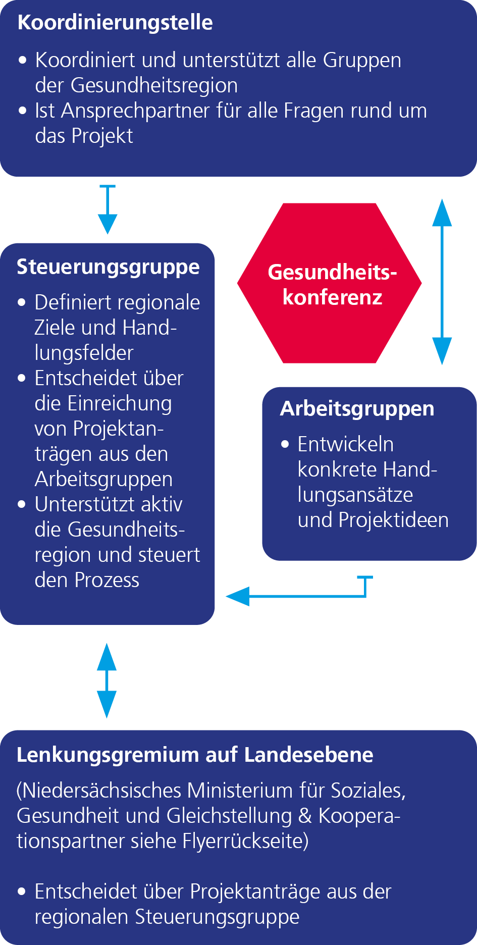 Struktur der Gesundheitsregion Wolfsburg