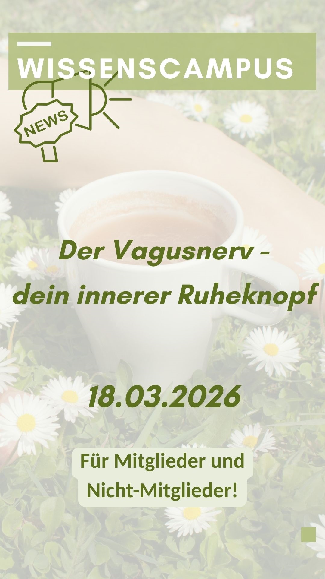 Plakat zum Vortrag "Vagusnerv"