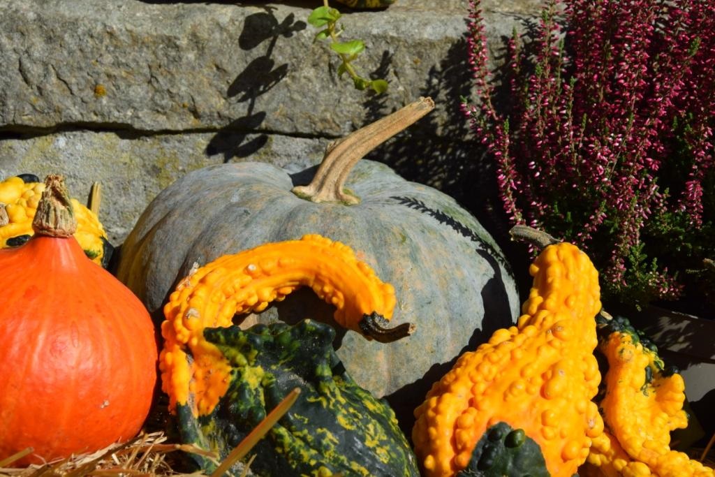 Impressionen vom Markt "Klein und fein"