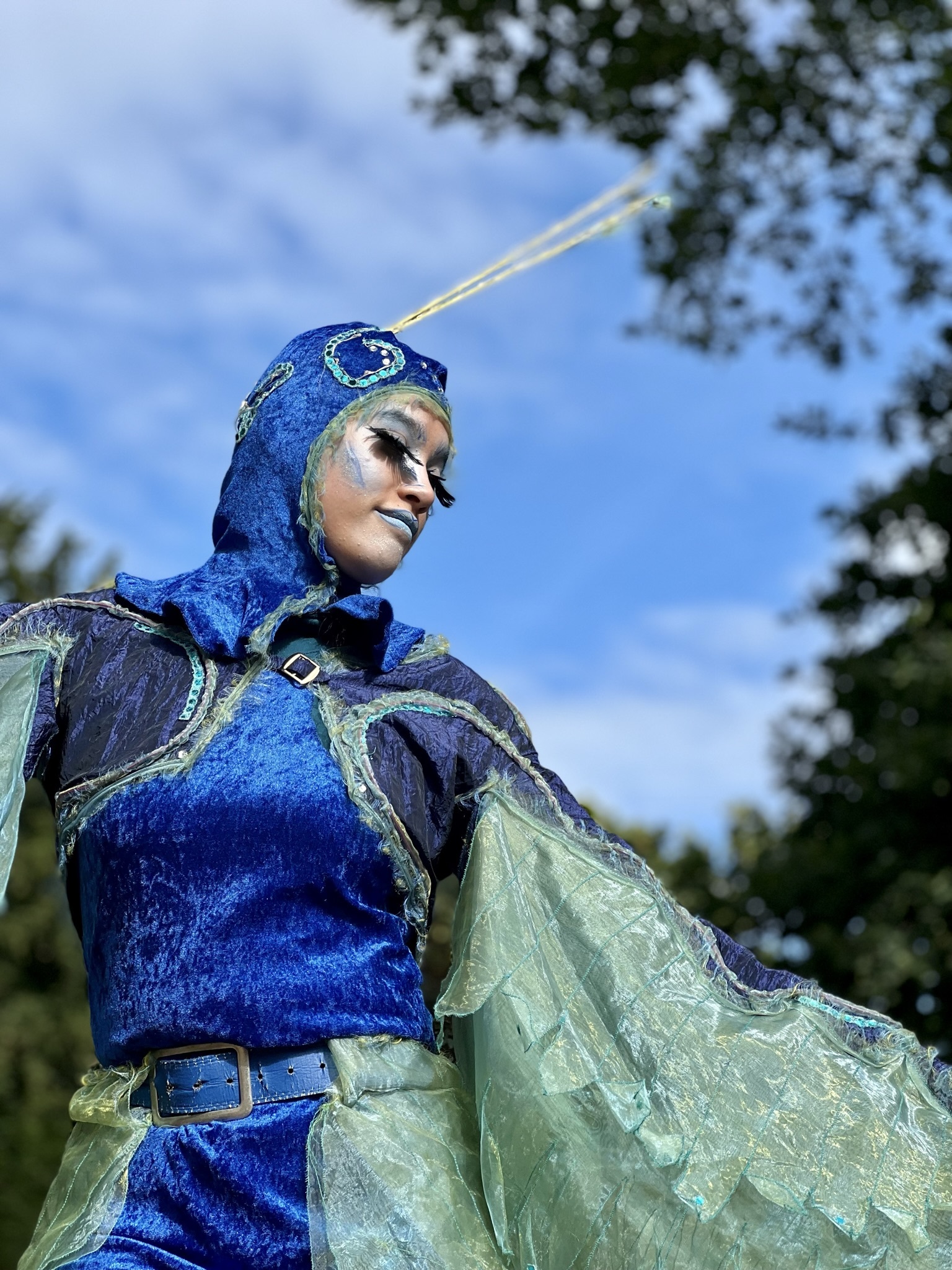 Pfau Peacock; Foto: HOCHkant