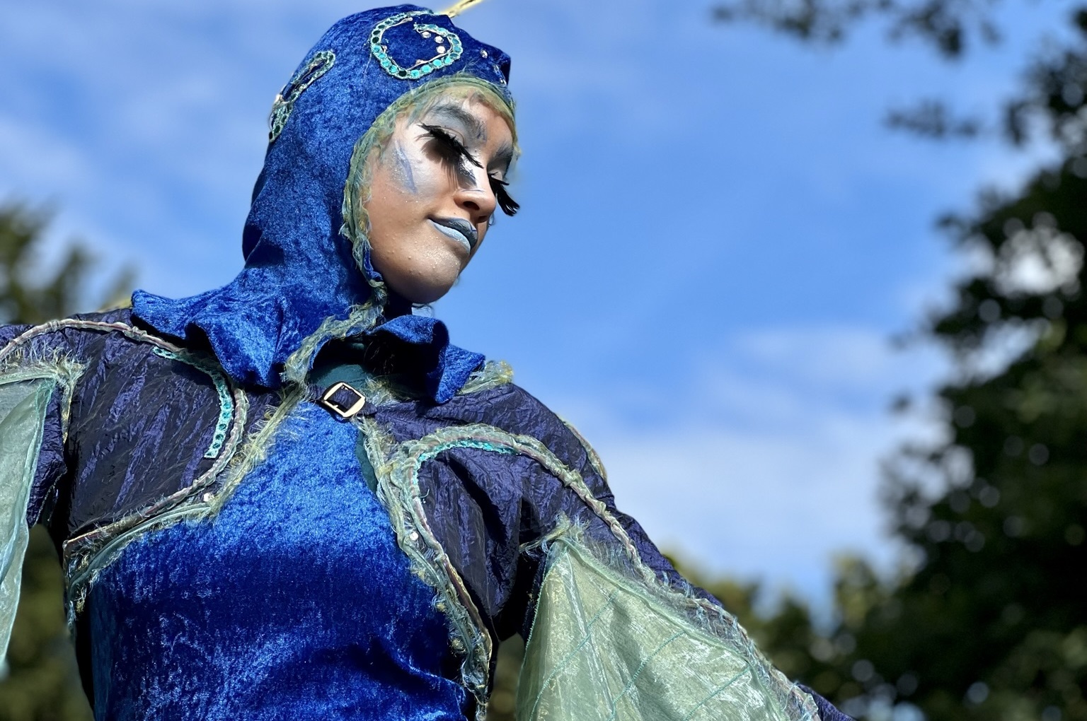 Pfau Peacock; Foto: HOCHkant