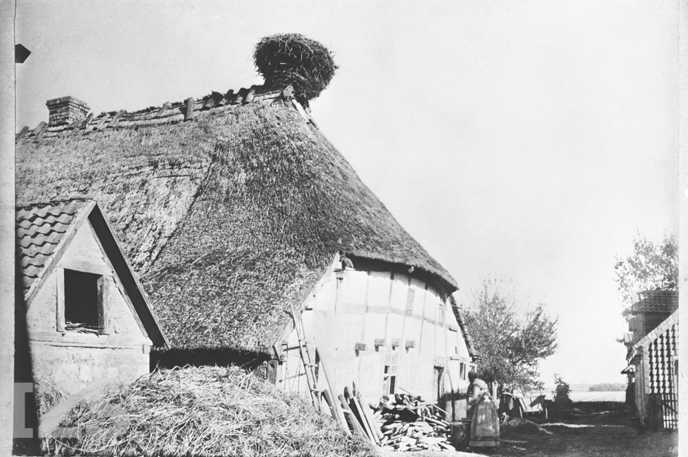 „Storchenhaus“ in der Bäckergasse, 1923-1927