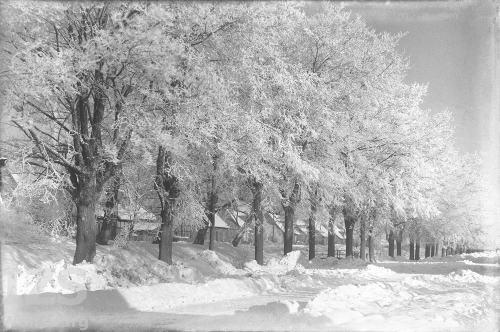 Blick auf den tiefverschneiten Sandfeldgraben, 1923-1927