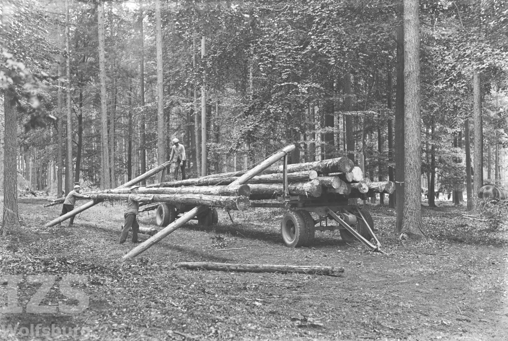 Verladearbeiten bei der Waldrodung für das Baugebiet