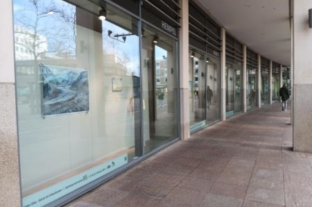 Glass facade of the Hempel fashion house