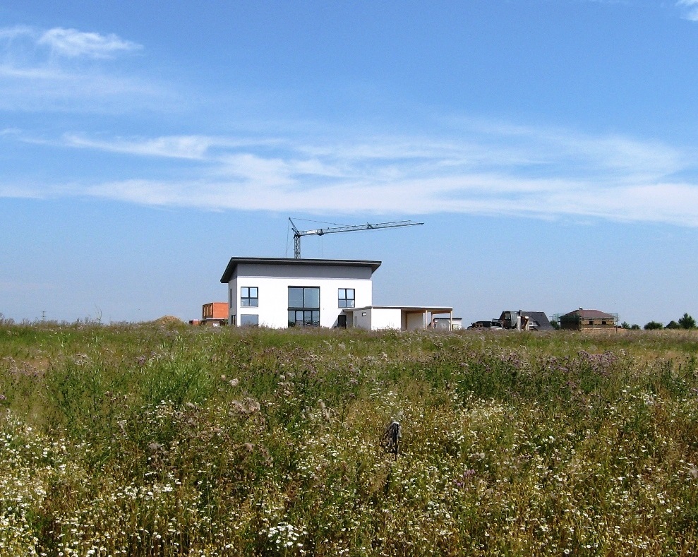 Eine Wiese und im Hintergrund ein Haus