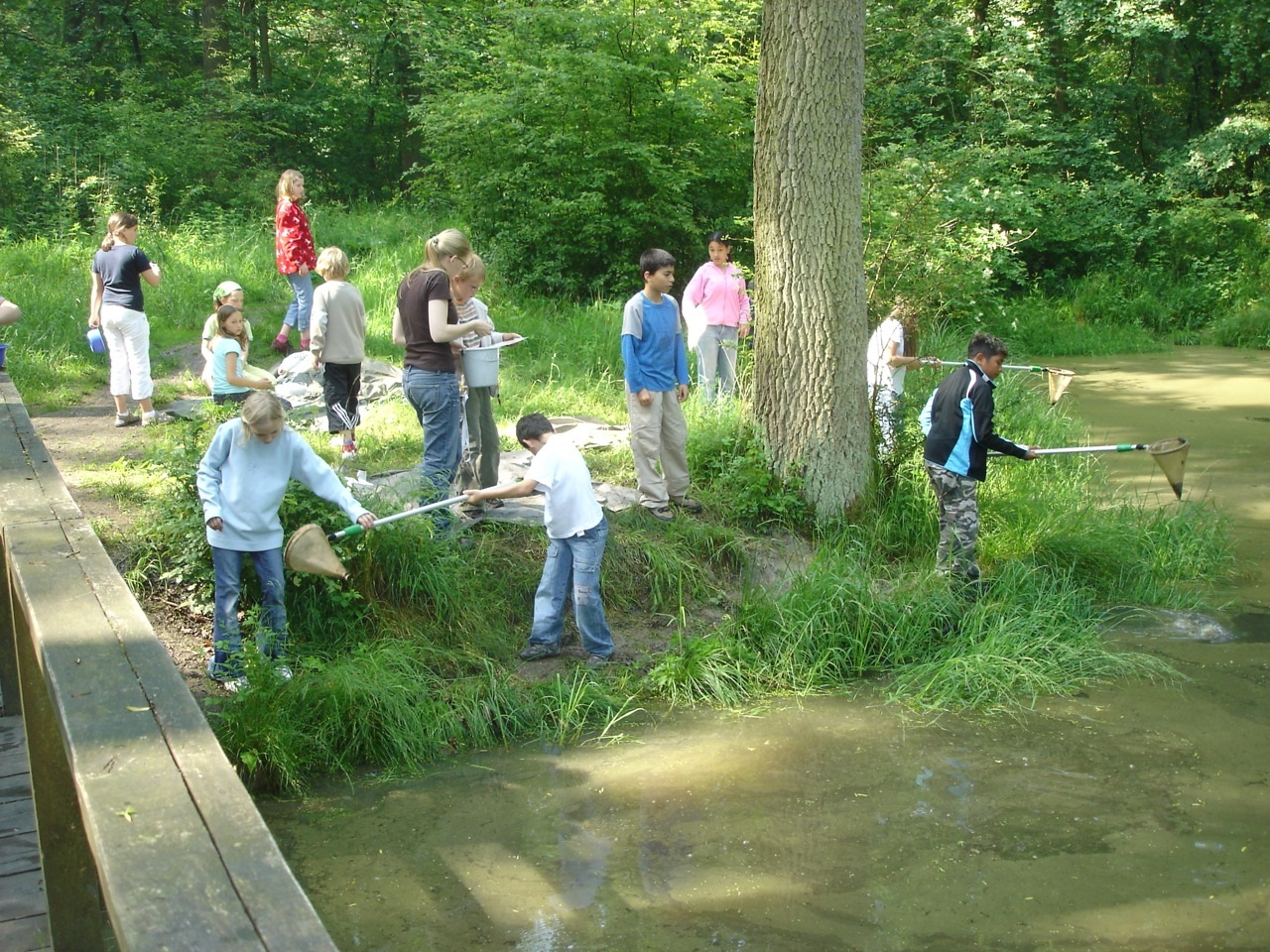 Kinder keschern am Teich