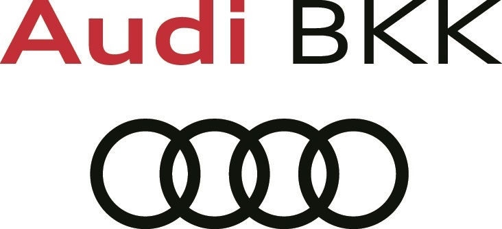 Logo der AUDIBKK
