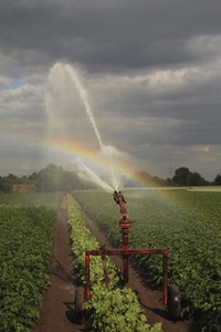 Beregnung eines Feldes (Harry Hautumm/pixelio.de)