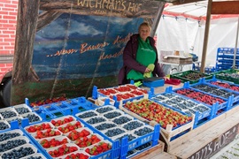 Übersicht Stand Wichman´s Hof Vertrieb