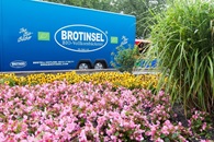 Außenansicht Brotinsel