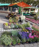 Bild der Gärtnerei Dieterichs