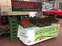 Der Stand von Krügers Elm Gärtnerei
