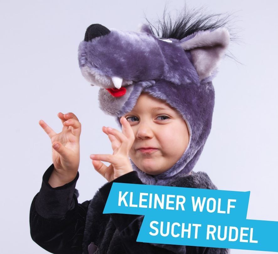 Kleiner Wolf such Rudel