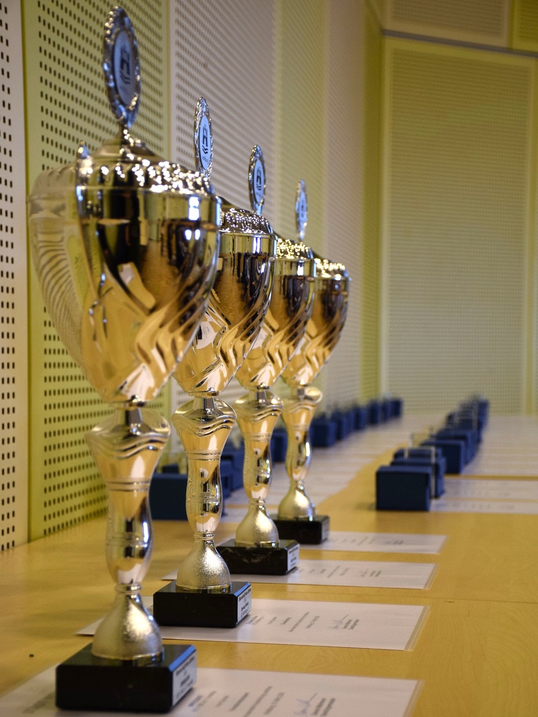 ᠎Pending Translation: Die Pokale und Ehrengaben der diesjährigen Ehrungsveranstaltung für die jungen Wolfsburger Sporter*innen. Bildnachweis: Stadt Wolfsburg