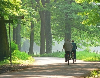 Fahrradfahren im Wald