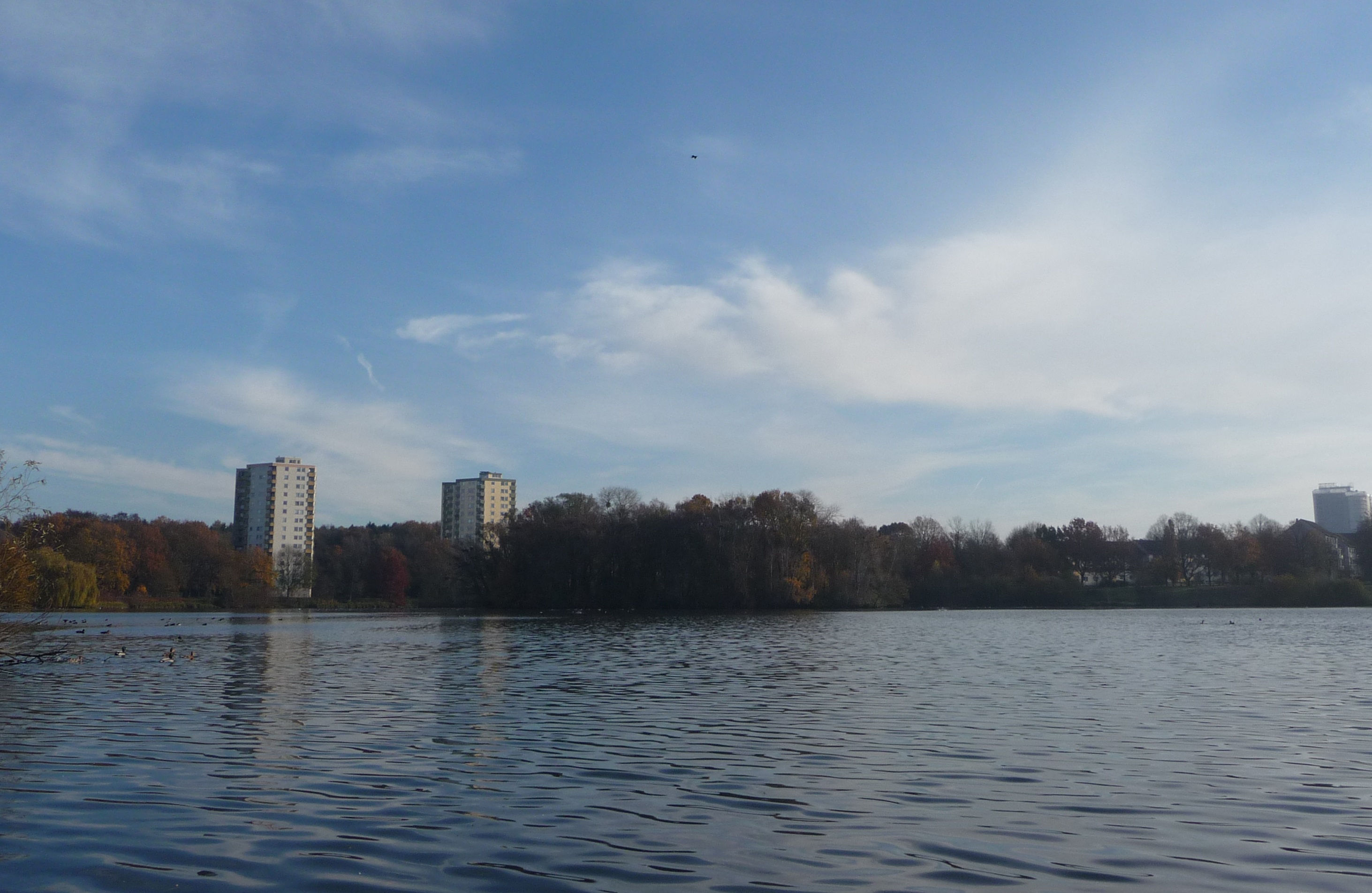 Neuer Teich