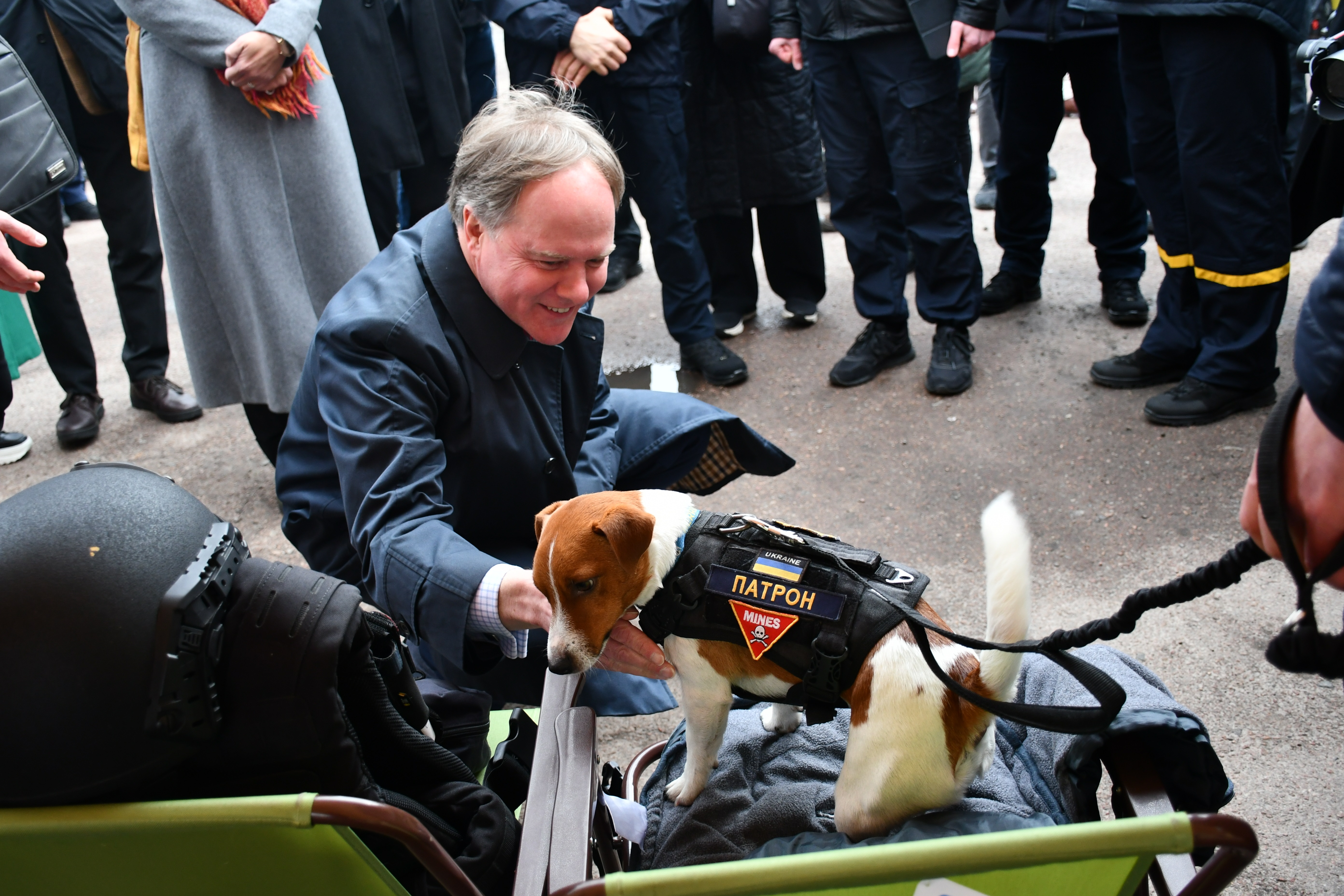 Einen Minenspürhund