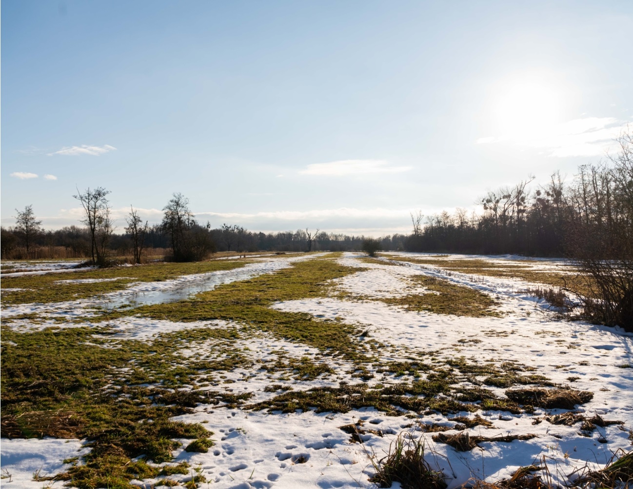 Winterimpressionen aus dem Drömling - Bild 1