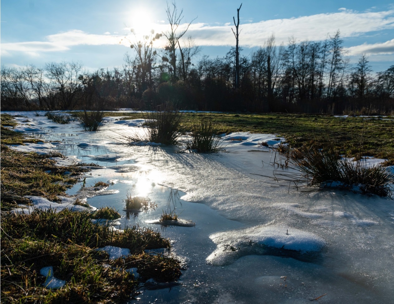 Winterimpressionen aus dem Drömling - Bild 2