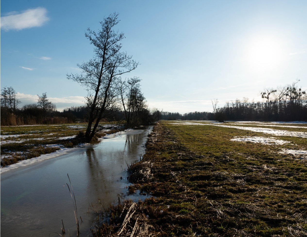 Winterimpressionen aus dem Drömling - Bild 3