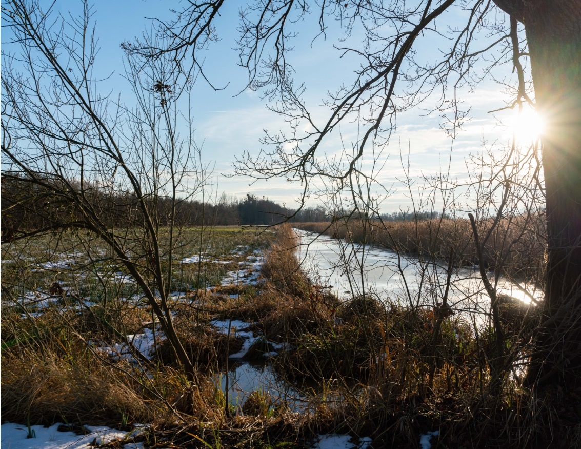 Winterimpressionen aus dem Drömling - Bild 5