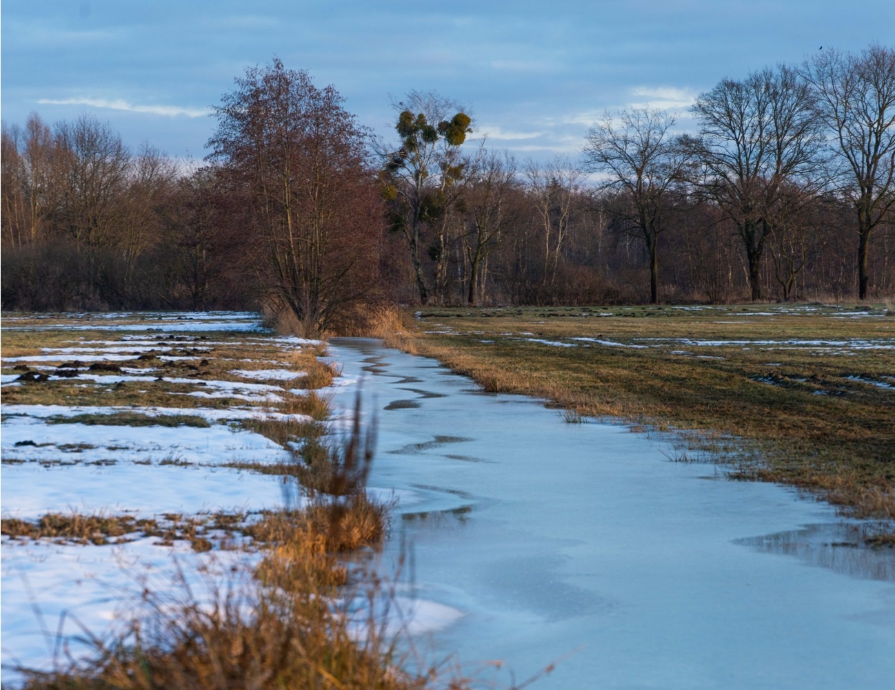 Winterimpressionen aus dem Drömling - Bild 6
