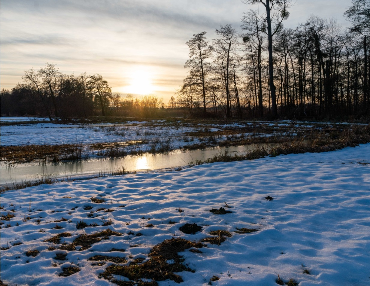 Winterimpressionen aus dem Drömling - Bild 7