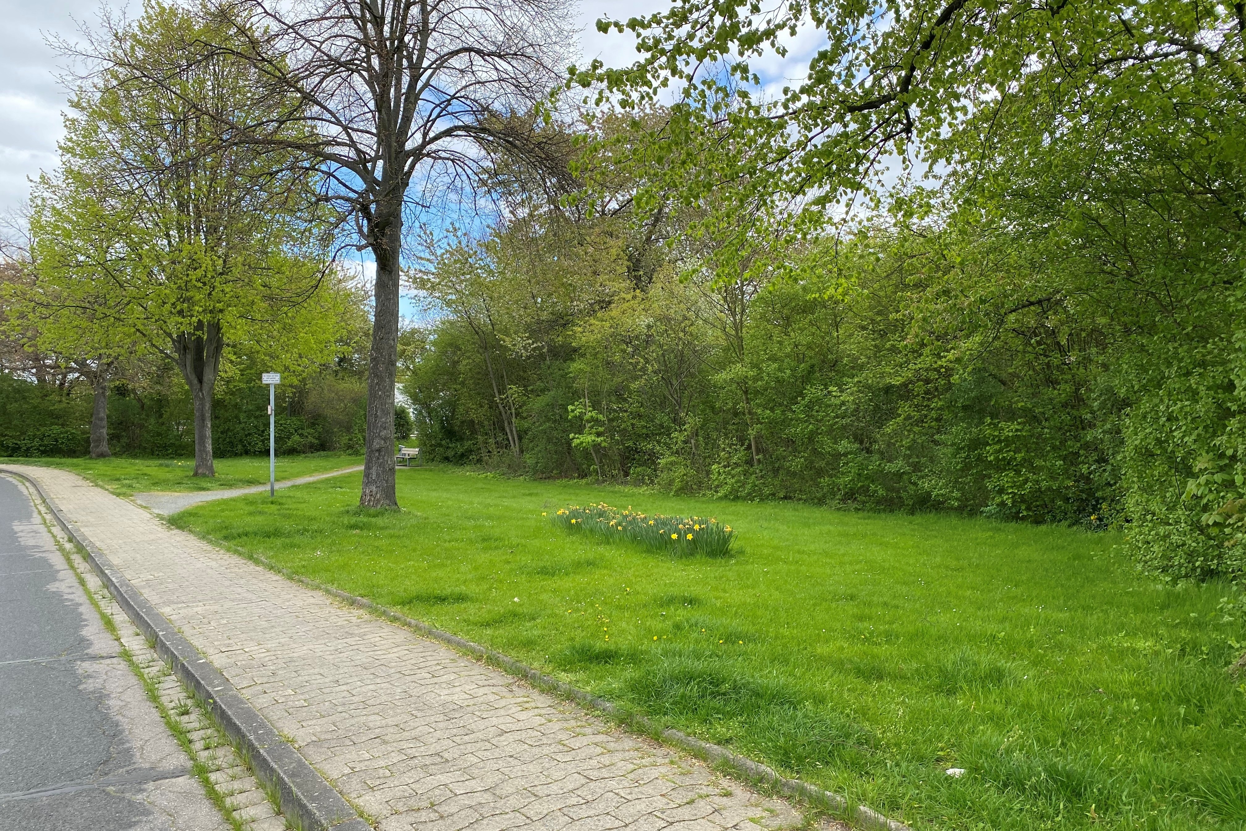 Grünfläche am Rodelandweg