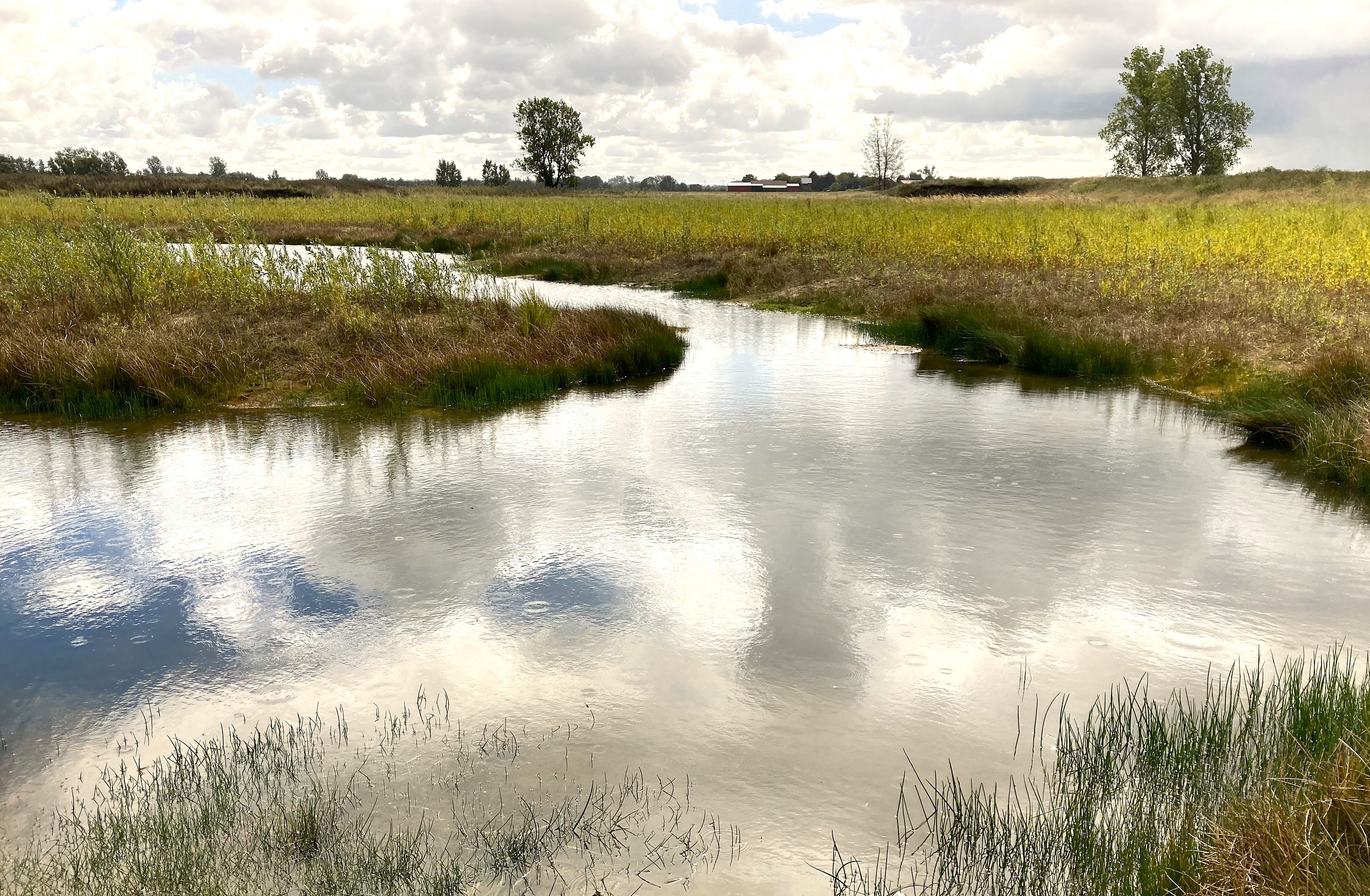 Neuanlage von einem Gewässer als Kompensationsmaßnahme im Ilkerbruch; Foto: UNB Wolfsburg