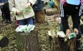 Kinder erkunden den Wald