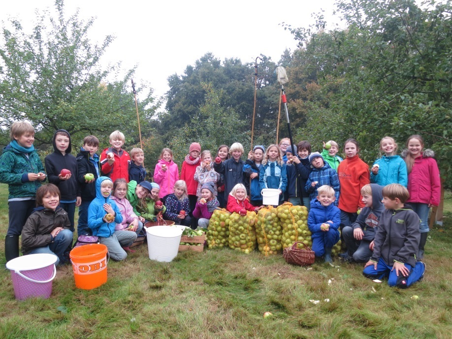 Kindergruppe der Freien Waldorfschule beim Sammeln von Obst