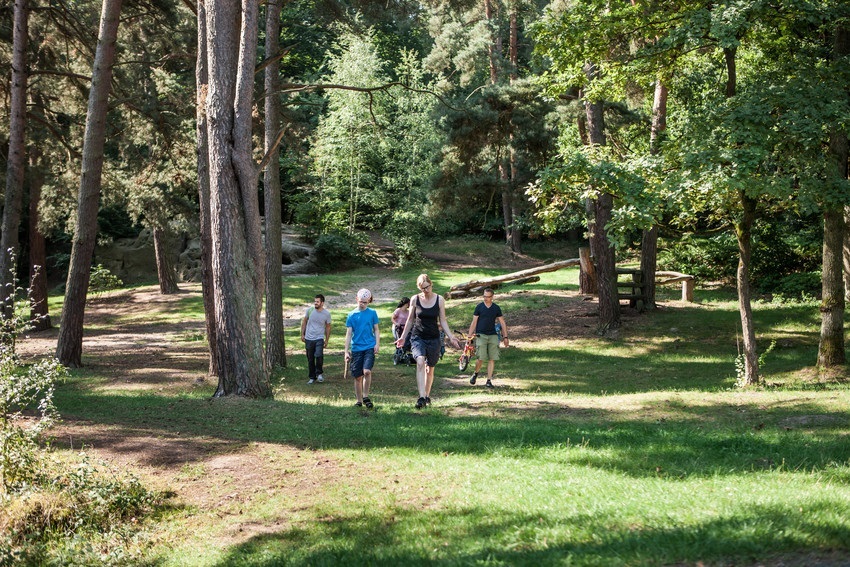 Tour durch das Hasselbachtal